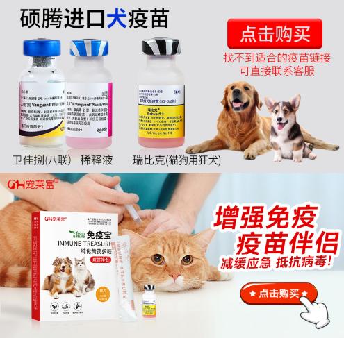 寵物醫(yī)院在線QQ咨詢，便捷高效的新模式助力寵物健康護理