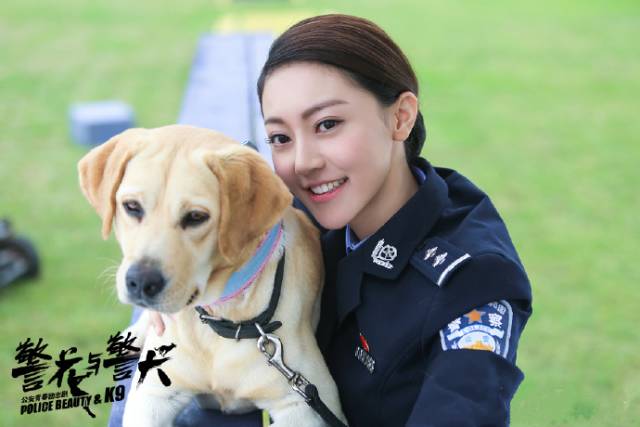 警花與警犬2，熱血瞬間與情感交織的在線觀看體驗