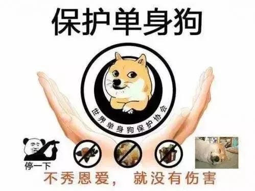現(xiàn)代單身青年的網(wǎng)絡(luò)交友世界，單身在線的靠譜性探究