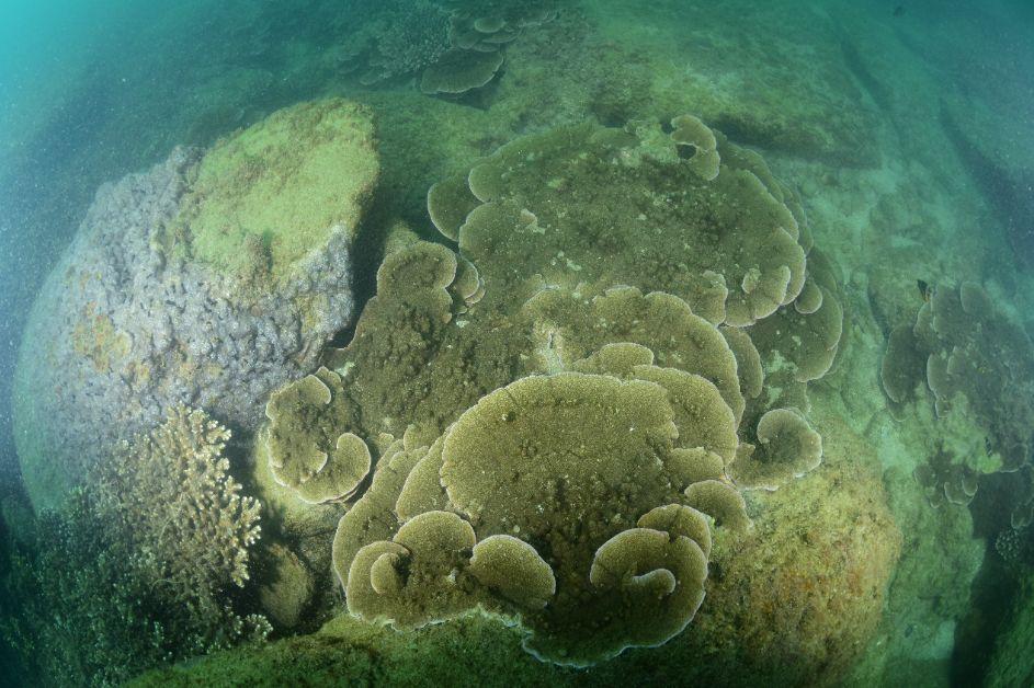 華南海域最新天氣預(yù)報(bào)更新通知