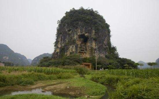 天等向都鎮(zhèn)最新動態(tài)全面解析
