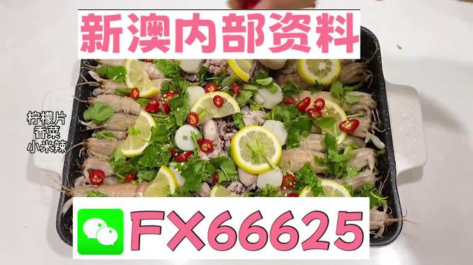 55123新澳精準(zhǔn)資料查詢,動(dòng)態(tài)詞語解釋落實(shí)_YE版48.375
