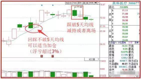2024年新奧天天精準(zhǔn)資料大全,適用性執(zhí)行方案_RemixOS81.483