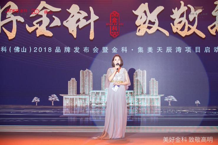佛山金輝高科最新消息全面解讀與分析