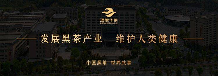 安化華萊健黑茶最新動態(tài)報道