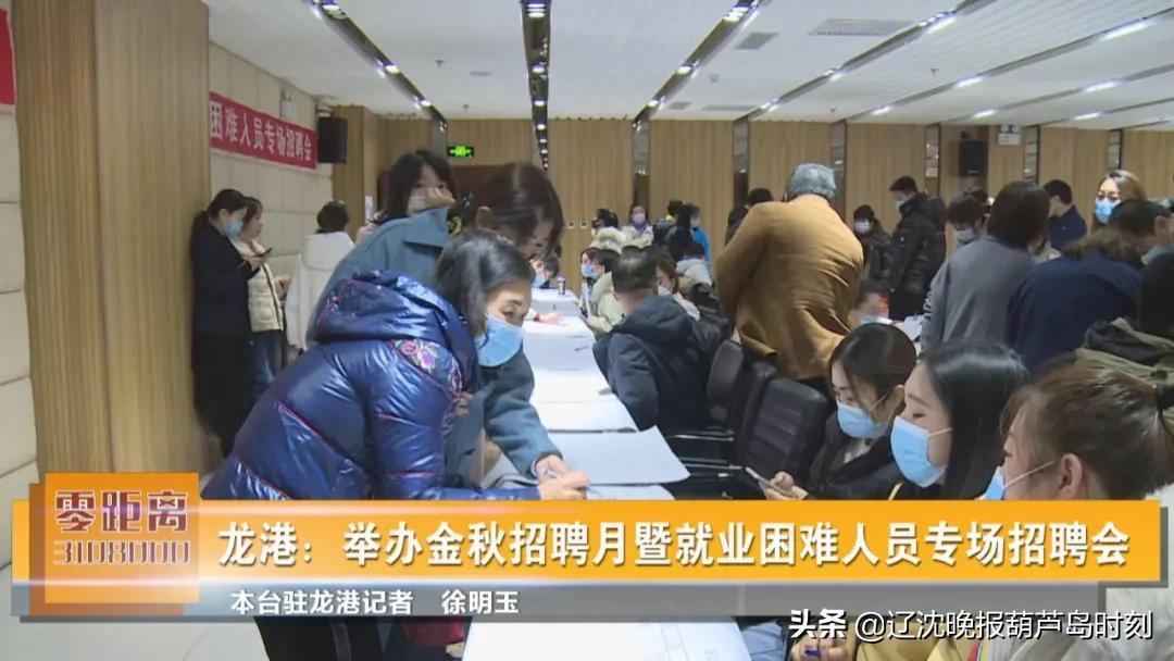 葫蘆島最新招聘會概覽，盛況與未來展望